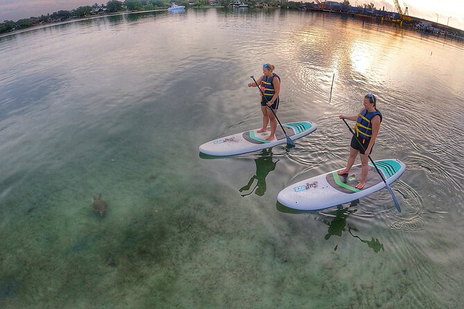 Sunrise Paddle Boarding Adventure in Jupiter - Wildlife watching from a paddle board