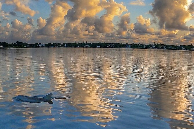 Sunrise Paddle Boarding Adventure in Jupiter - What the $90 price includes