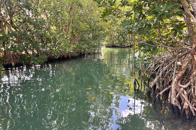 SUNSET CRUISE in Key Largo,FL. - The skipper and the value of local judgment