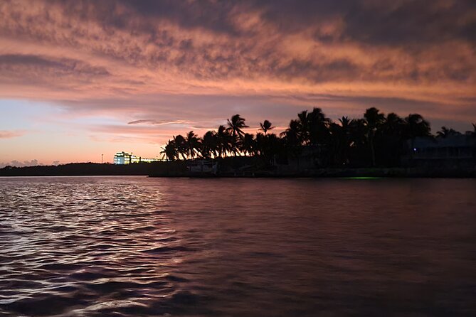 Sunset Kayak Adventure with Enchanting Underwater Lights - Tavernier Creek brings the wildlife close