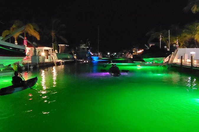 Sunset Kayak Adventure with Enchanting Underwater Lights - Is $78 a fair price for two hours?
