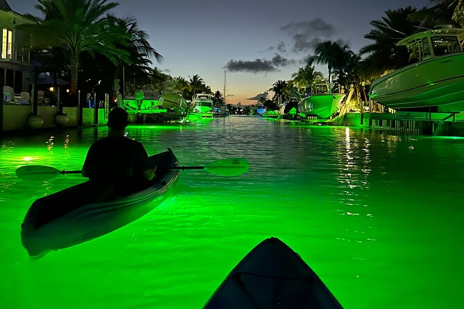 Sunset Kayak Adventure with Enchanting Underwater Lights - A narrow mangrove channel changes the view