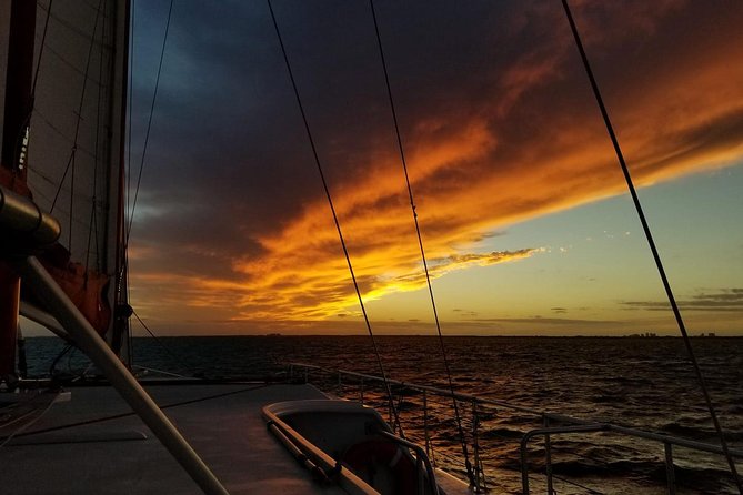Sunset Sail in Miami: Complimentary Champagne Toast - Key points to know before you book