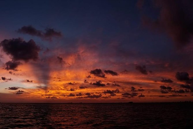 Sunset Sail in Miami: Complimentary Champagne Toast - A sunset seat on Biscayne Bay