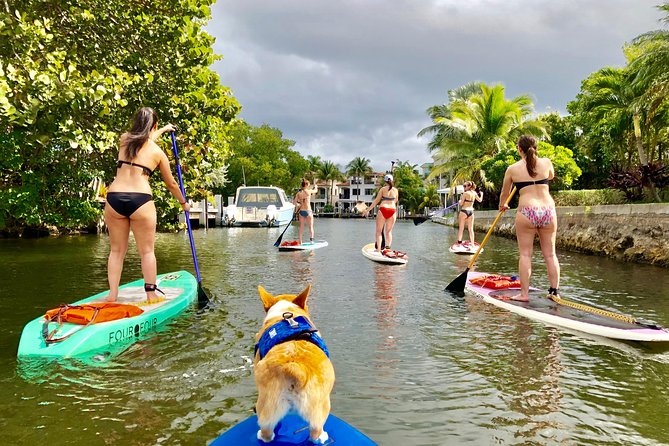SUP PUP Paddleboard Tour - Starting at 1313 SW 5th Court