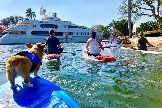 SUP PUP Paddleboard Tour - Learning the board before entering the canals