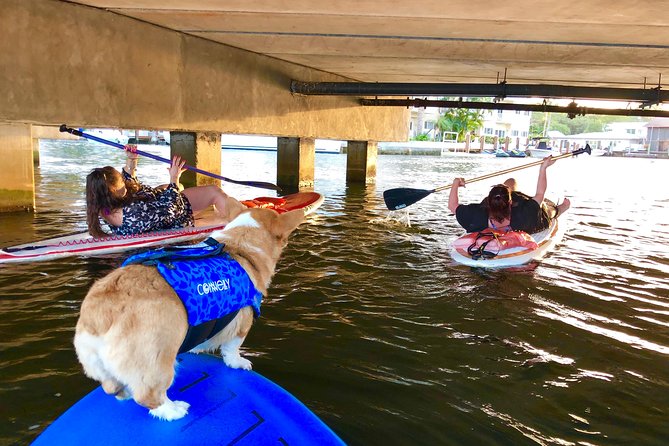 SUP PUP Paddleboard Tour - Meeting Mr. Beaches on the water