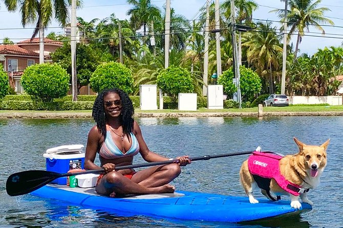 SUP PUP Paddleboard Tour - The rhythm of a 90-minute outing