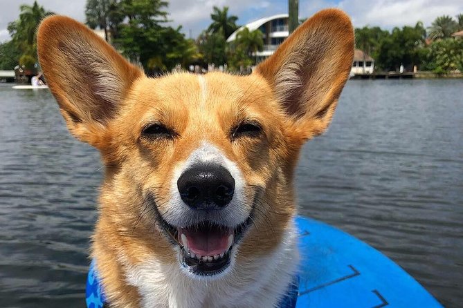 SUP PUP Paddleboard Tour - Value beyond a standard canal tour