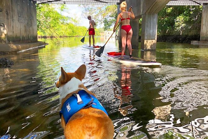 SUP PUP Paddleboard Tour - Paddling through Fort Lauderdale’s Riverside canals