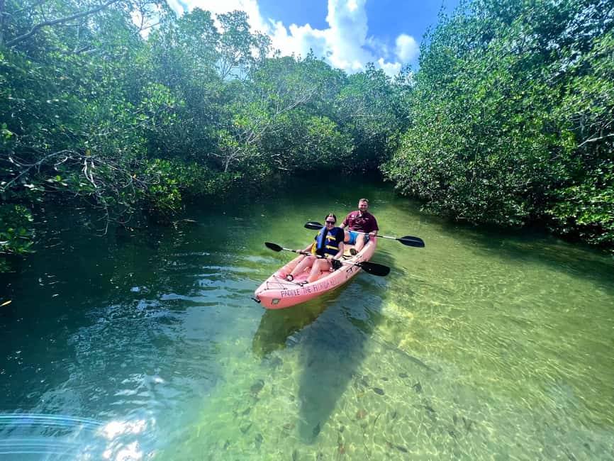 Tavernier, FL: Mangrove and Manatees Guided Kayak Eco Tour - Key points to know before you book