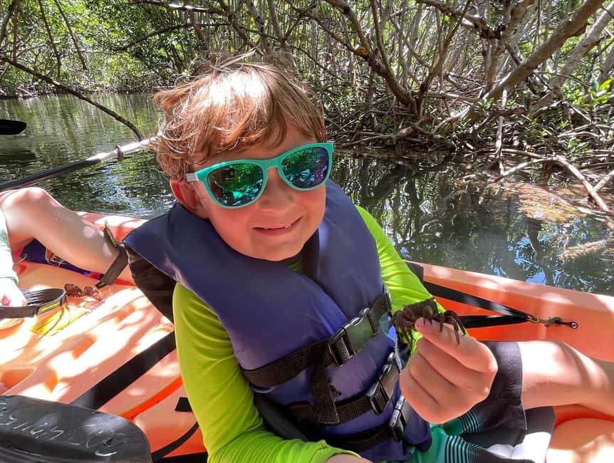 Tavernier, FL: Mangrove and Manatees Guided Kayak Eco Tour - Following the creek through the mangroves