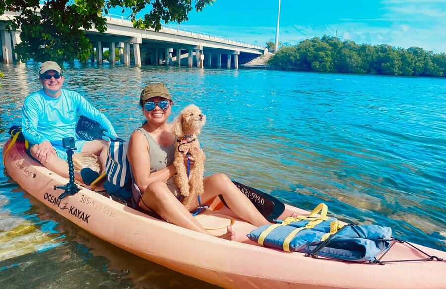 Tavernier, FL: Mangrove and Manatees Guided Kayak Eco Tour - Morning or afternoon: which departure should you choose?
