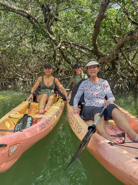 Tavernier, FL: Mangrove and Manatees Guided Kayak Eco Tour - Who will enjoy this most