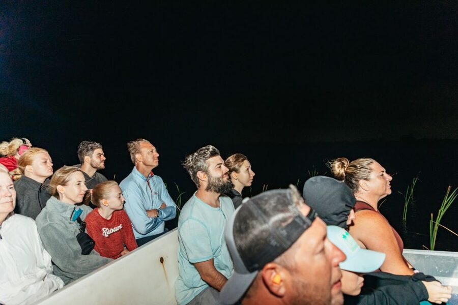 The Everglades: 1-Hour Airboat Night Tour - What the one-hour night ride is really about