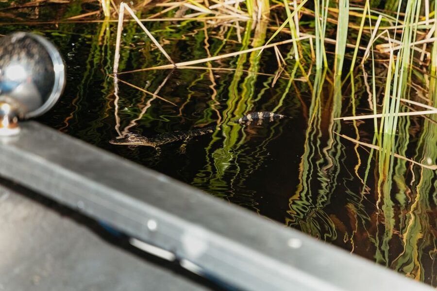 The Everglades: 1-Hour Airboat Night Tour - Boarding the airboat after dark