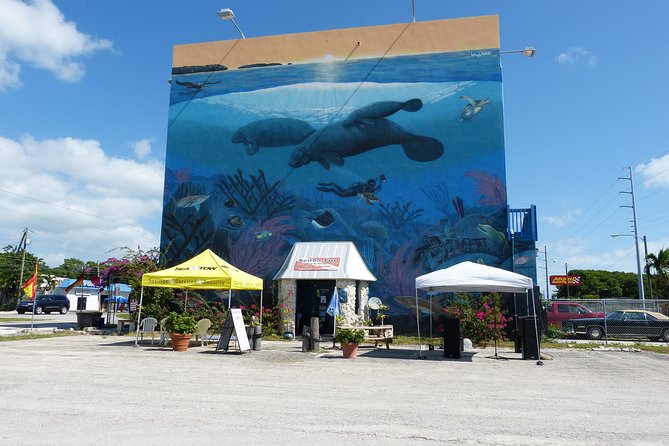 Try Scuba Diving with Professional Scuba Instructor - Key points at a glance