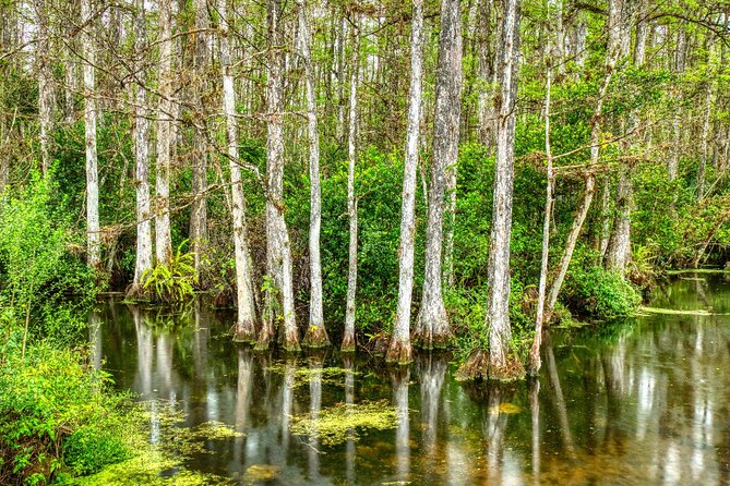 Ultimate Florida Self Guided Driving & Walking Audio Tour Bundle - The Florida Keys drive from Key Largo to Key West