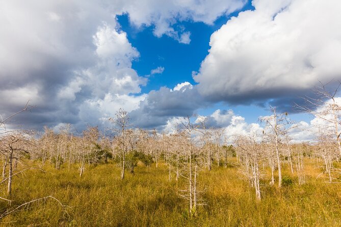 Ultimate Florida Self Guided Driving & Walking Audio Tour Bundle - Everglades National Park and Big Cypress