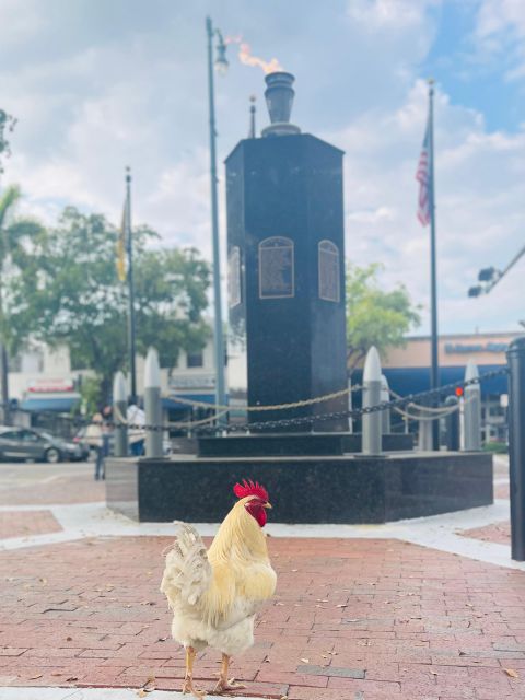 VIP Walking Tour of Little Havana - Starting at the Bay of Pigs Monument or Domino Park