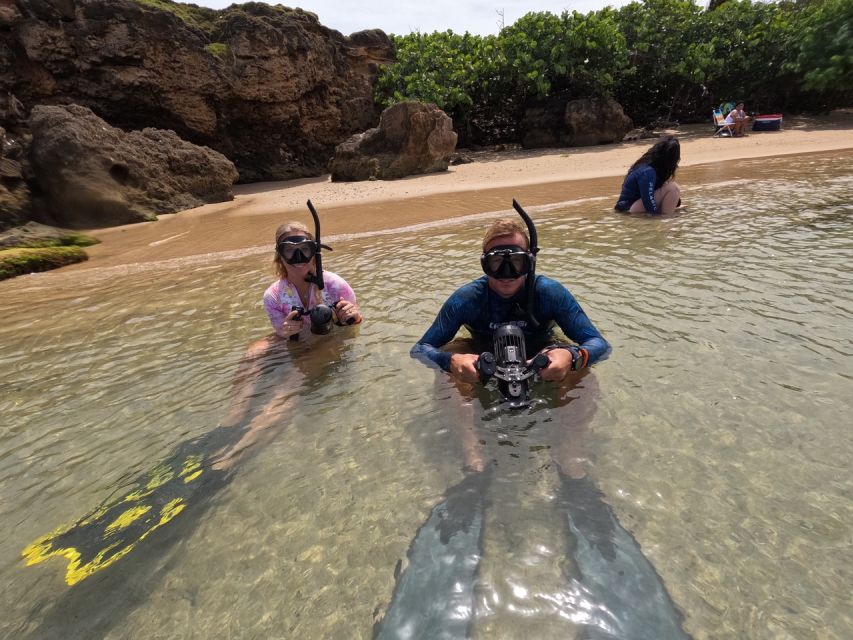 West Palm Beach: Beginner Jet Snorkel Tour with Videos - Key points to know before you book
