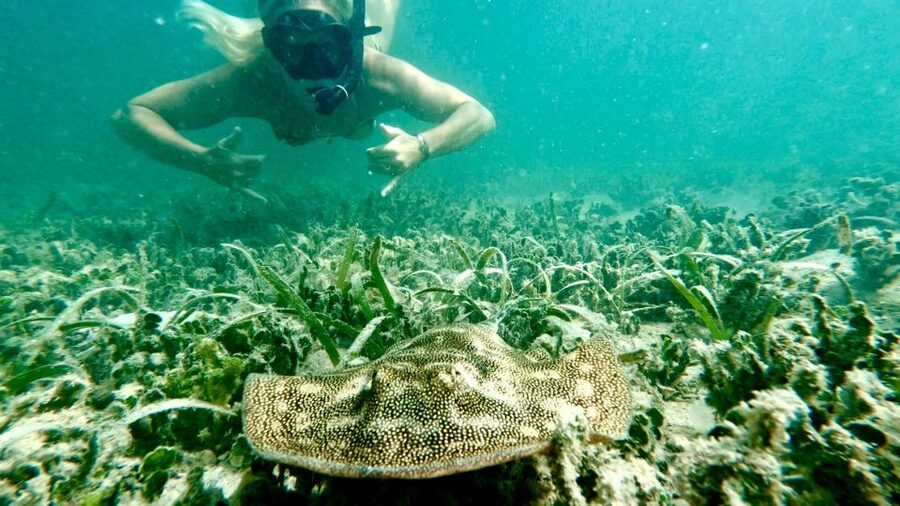 West Palm Beach: Beginner Jet Snorkel Tour with Videos - Guide quality and group size