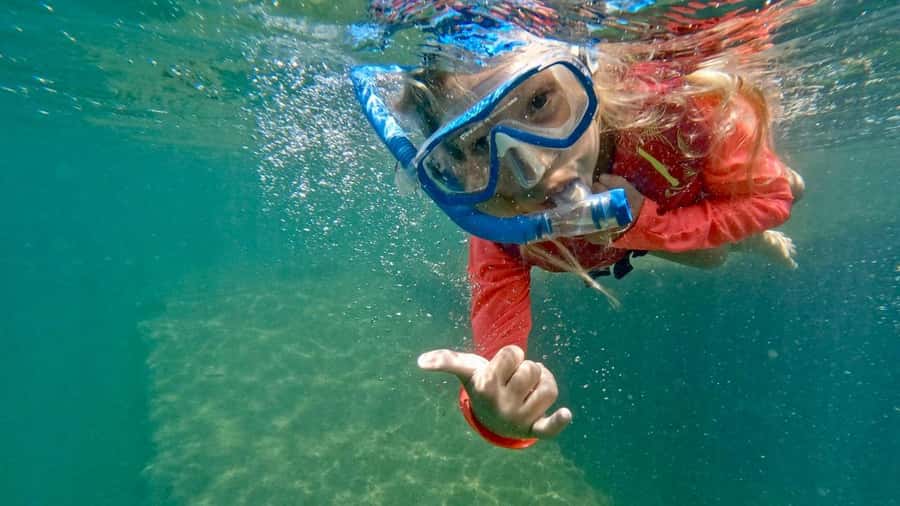 West Palm Beach: Beginner Snorkel Tour with Turtles & Videos - Guides who keep beginners moving