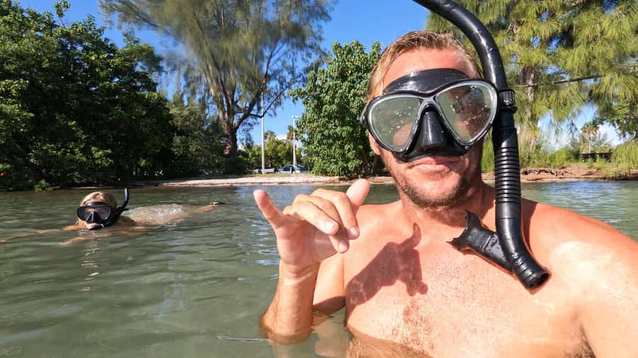 West Palm Beach: Beginner Snorkel Tour with Turtles & Videos - A closer look at the 90-minute schedule