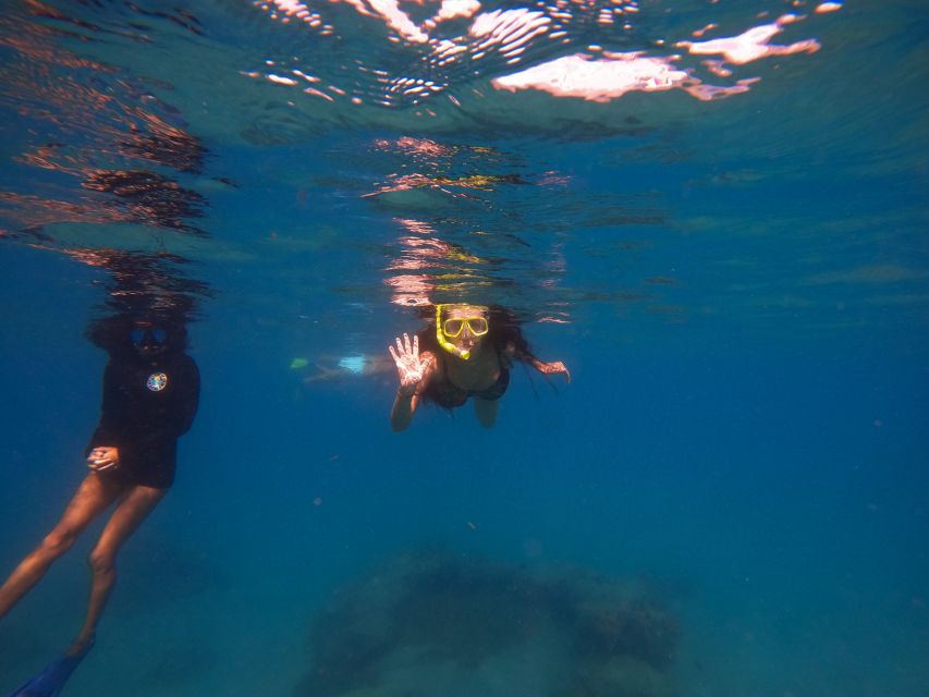 West Palm Beach: Blue Heron Bridge Guided Snorkeling Tour - Key points to know before you go