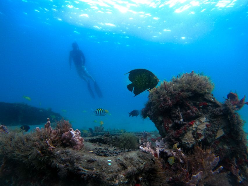 West Palm Beach: Blue Heron Bridge Guided Snorkeling Tour - Why Blue Heron Bridge is special for snorkeling