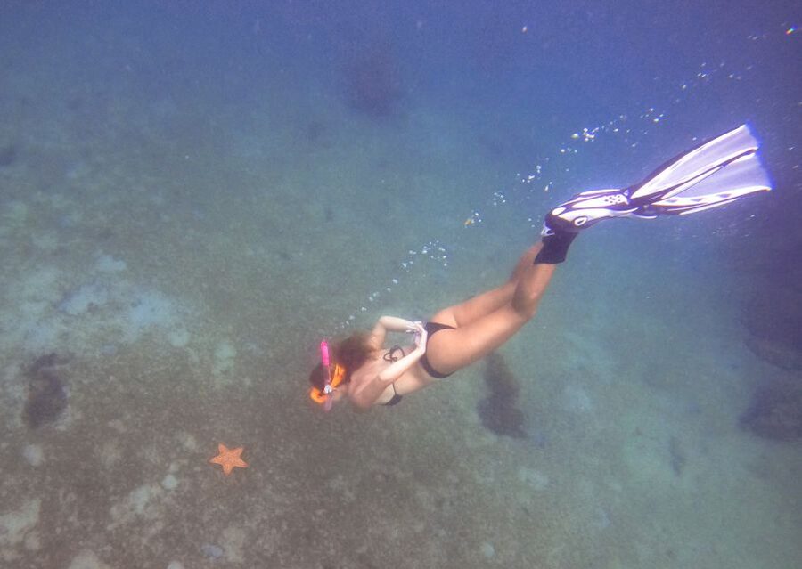 West Palm Beach: Blue Heron Bridge Guided Snorkeling Tour - What the 75 minutes includes