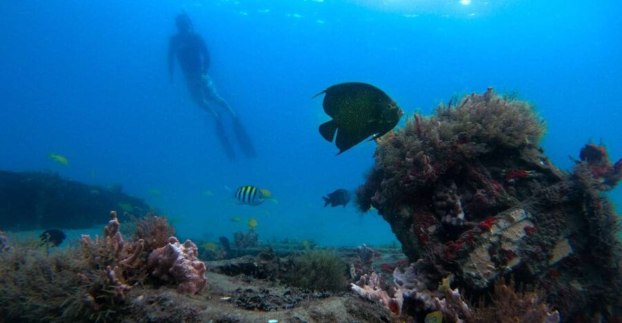 West Palm Beach: Blue Heron Bridge Guided Snorkeling Tour - Meeting your guide at Phil Foster Park
