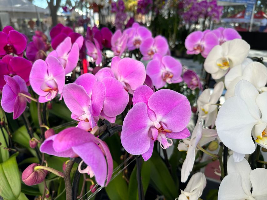 West Palm Beach: Mornings in the Market Food Tour - Entering the Greenmarket from Clematis Street