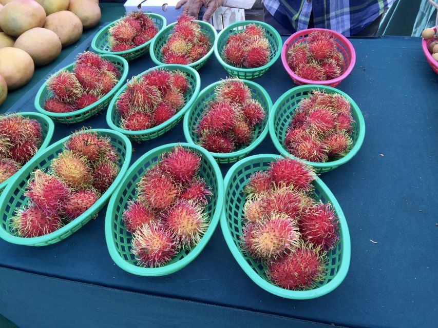 West Palm Beach: Mornings in the Market Food Tour - Why Palm Beach County agriculture matters