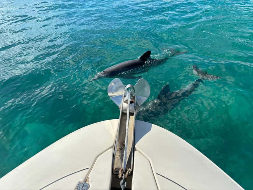West Palm Beach: Private Boat Tour with a Captain - Who Will Enjoy This Most