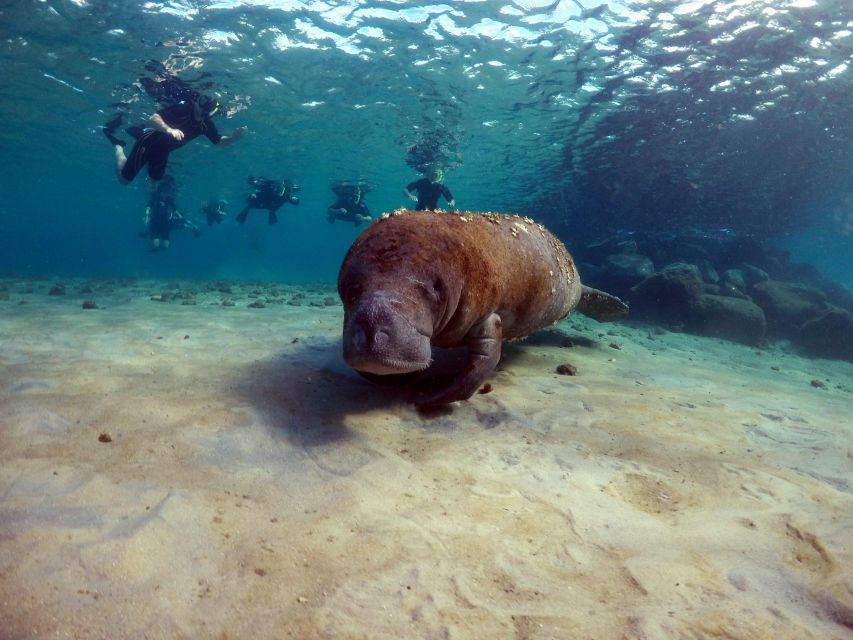 West Palm Beach: Private Peanut Island Boat & Snorkel Tour - Ninety minutes around Peanut Island