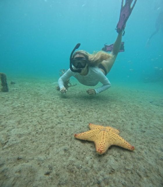 West Palm Beach: Private Peanut Island Boat & Snorkel Tour - A short look at Palm Beach Island