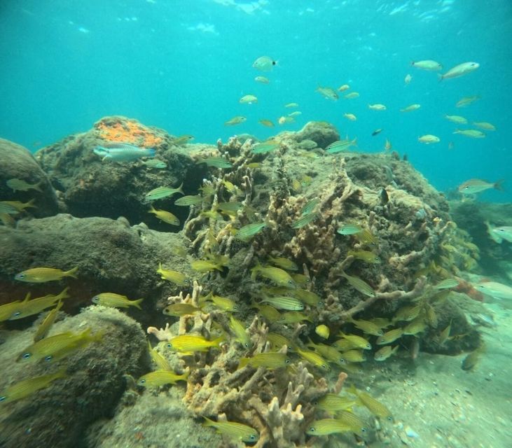 West Palm Beach: Private Peanut Island Boat & Snorkel Tour - The crew and the feel on the water