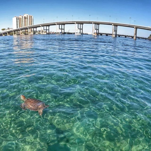 West Palm Beach: Private Peanut Island Boat & Snorkel Tour - Who will get the most from this tour