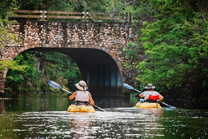 Wild & Scenic Loxahatchee River Guided Tour - Beneath the Loxahatchee’s cypress roof