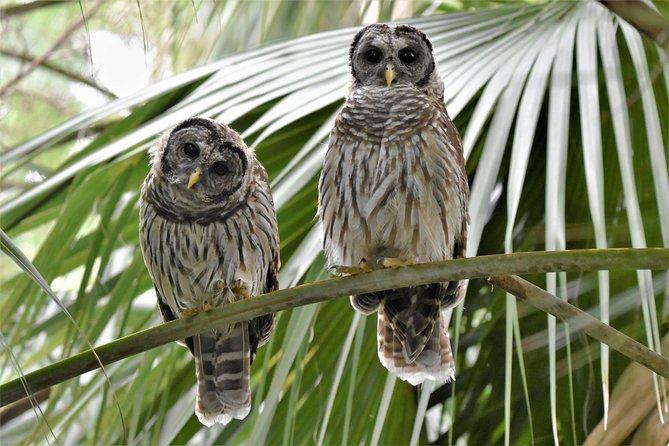 Wild & Scenic Loxahatchee River Guided Tour - Kayak choices and physical effort