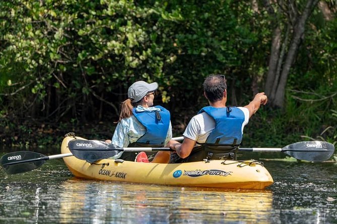 Wild & Scenic Loxahatchee River Guided Tour - Is $79 a fair price?