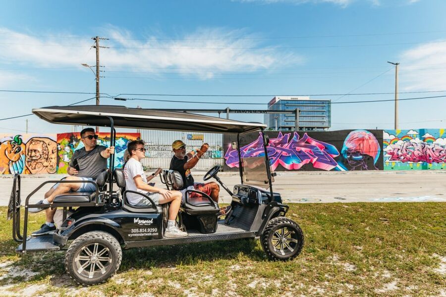 Wynwood Art District 1-Hour Street Art Tour by Golf Cart - Wynwood Walls and the district’s best-known art