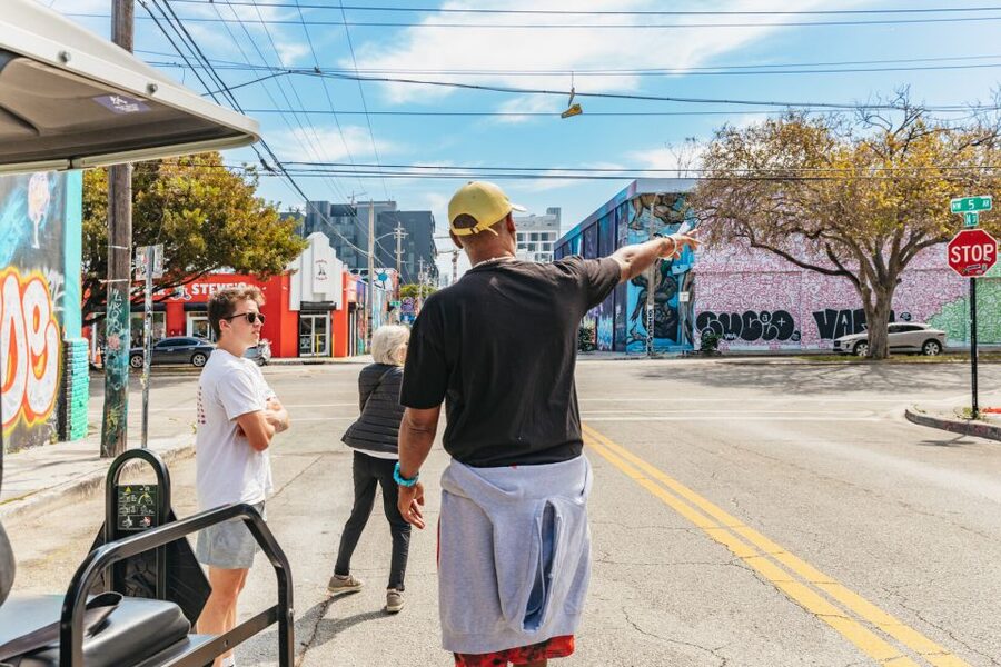 Wynwood Art District 1-Hour Street Art Tour by Golf Cart - School murals and the art beyond the famous walls