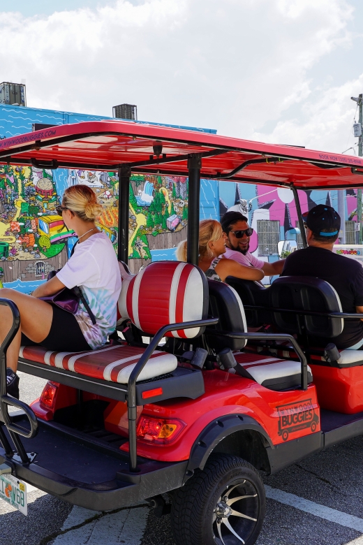 Wynwood Art District 1-Hour Wynwood Buggies Street Art Tour - What the artist guides add