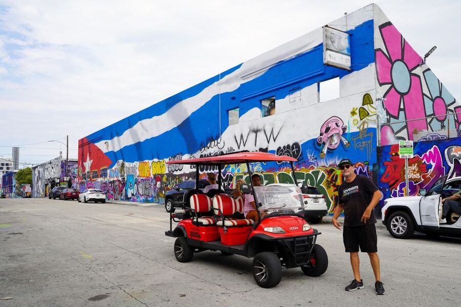 Wynwood Art District 1-Hour Wynwood Buggies Street Art Tour - Is $45 a fair price?
