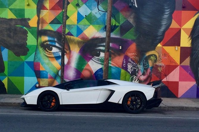 Wynwood French Guided Tour - Street Art - Is $52 a fair price for two hours?