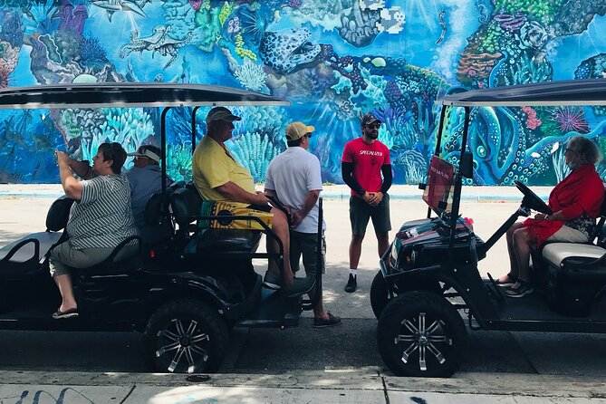 Wynwood Graffiti Golf Cart Small-Group Tour - What the one-hour timing means for you