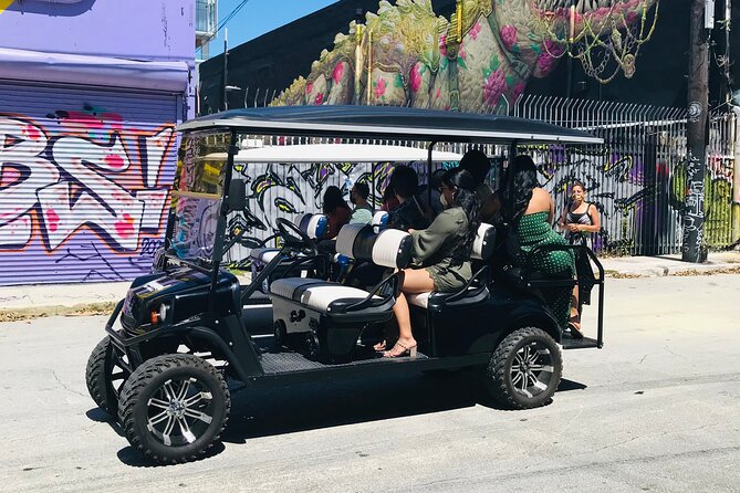 Wynwood Graffiti Golf Cart Small-Group Tour - A quick lesson in Wynwood’s changing walls