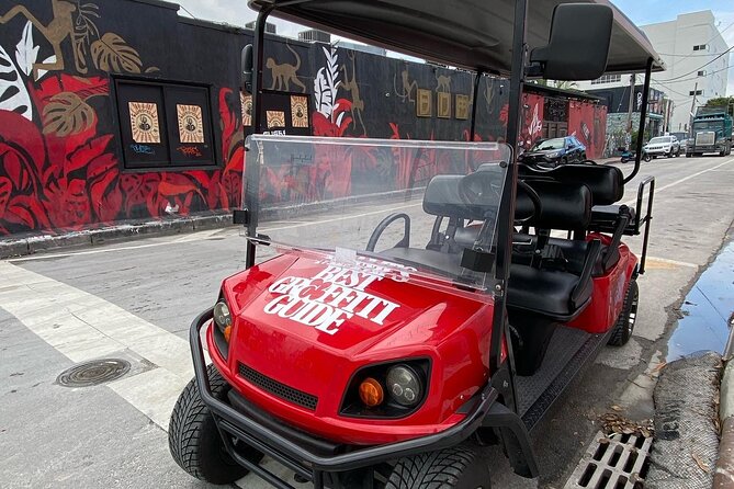 Wynwood Street Art Tour - Artist Lead -VIP Cart - What makes this Wynwood tour worth your hour
